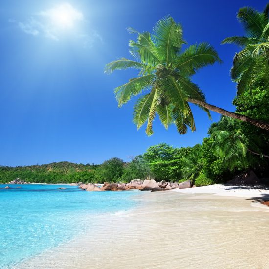 Goa Tours