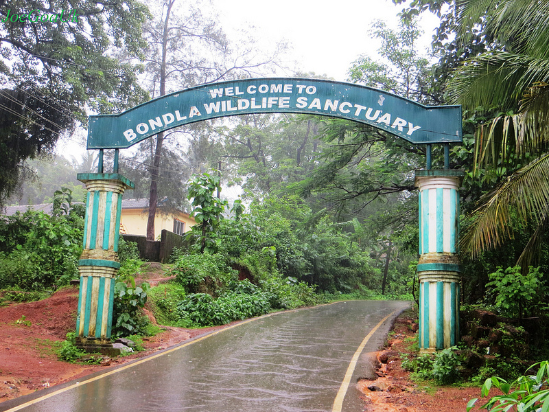 Bondla Wildlife Sanctuary Goa