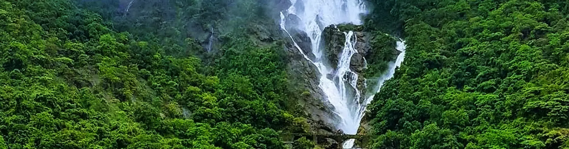 Dudhsagar Waterfalls Day Trip Goa | Travel People India