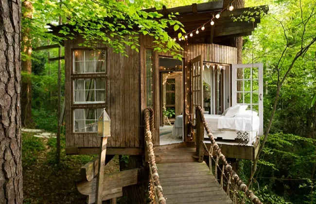 Book Scenic Tree Houses in Goa – Stay Amidst Nature