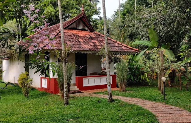 Goa Homestays – Cozy, Affordable & Full of Charm