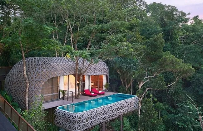 Top Tree House Stays in Goa for a Unique Nature Escape