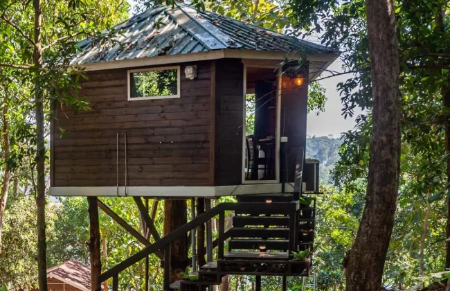 Tree Houses Booking in Goa