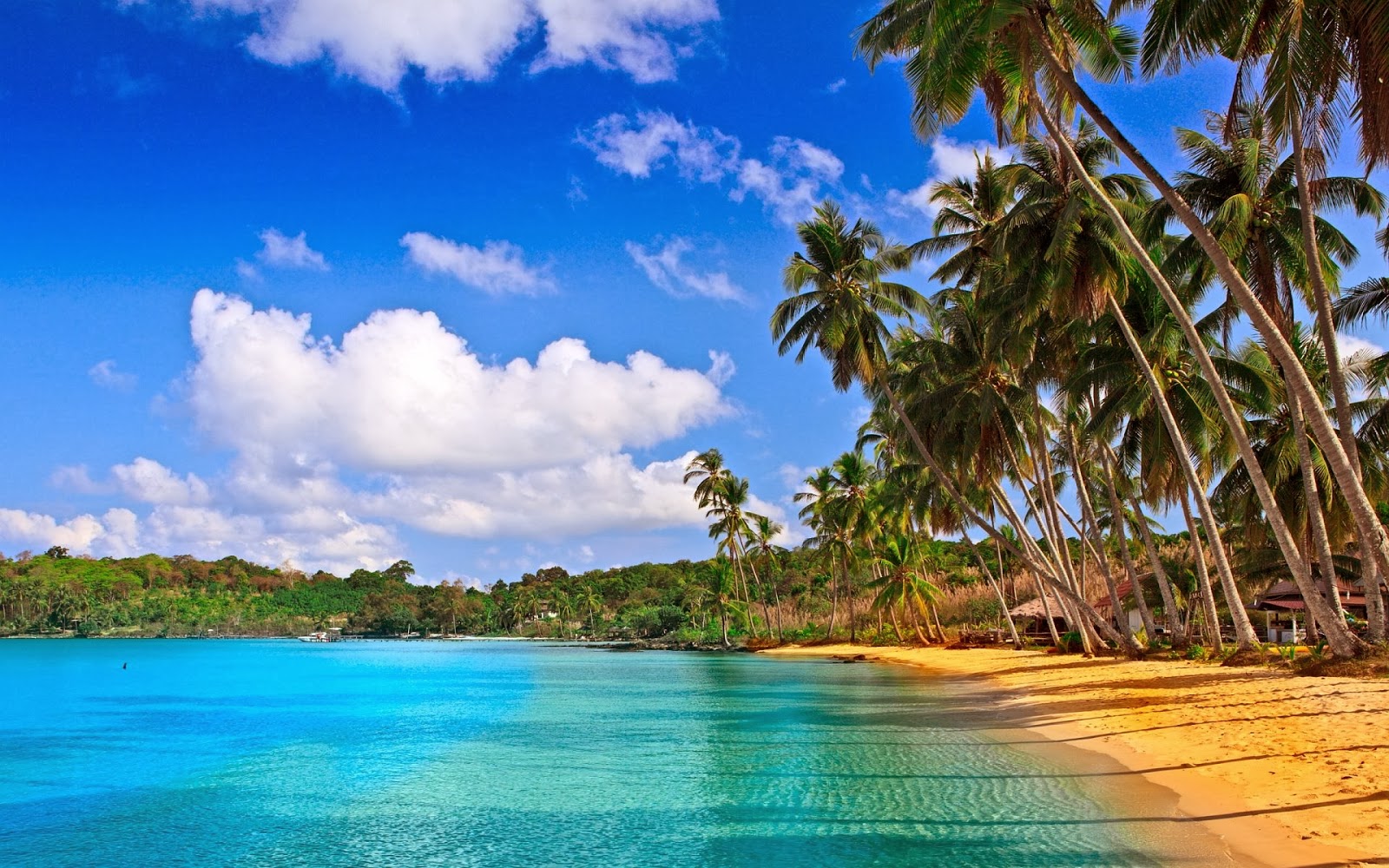 North Goa Day Tours