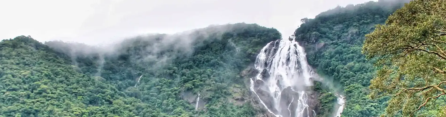 Dudhsagar Waterfall Travel Guide Goa | Travel People India