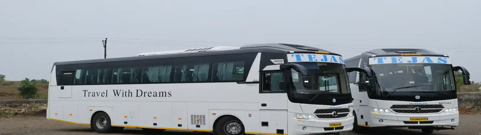 Wedding Bus rental in Goa