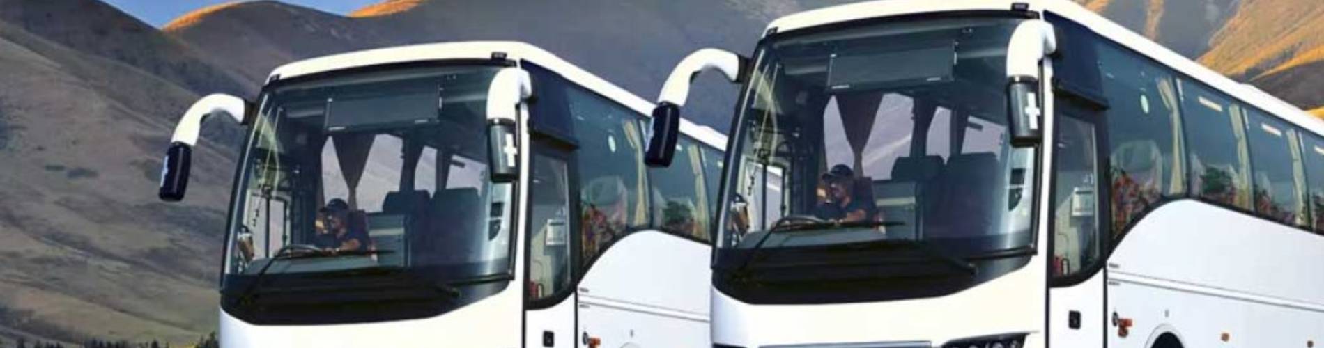 45 Seater Bus Rental in Goa