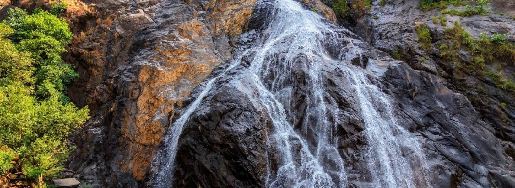 Dudhsagar Waterfall Trip from Goa | Travel People India