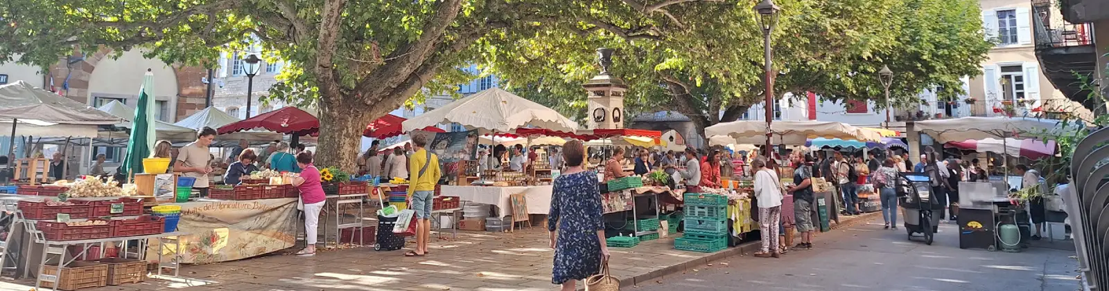 Wednesday Flea Market Day Tour Goa | Travel People India