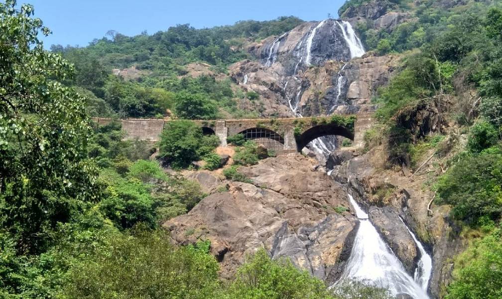 Dudhsagar Waterfall Day Tour Goa | Travel People India