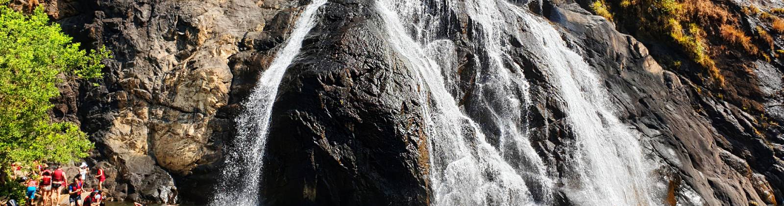 Dudhsagar Waterfall Day Tour Goa | Travel People India