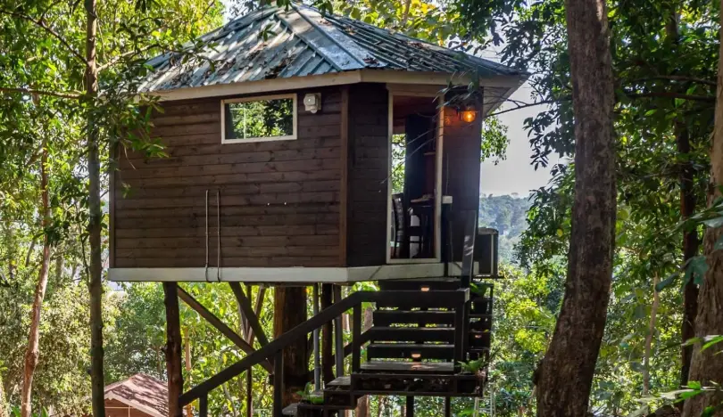 Tree Houses Booking in Goa